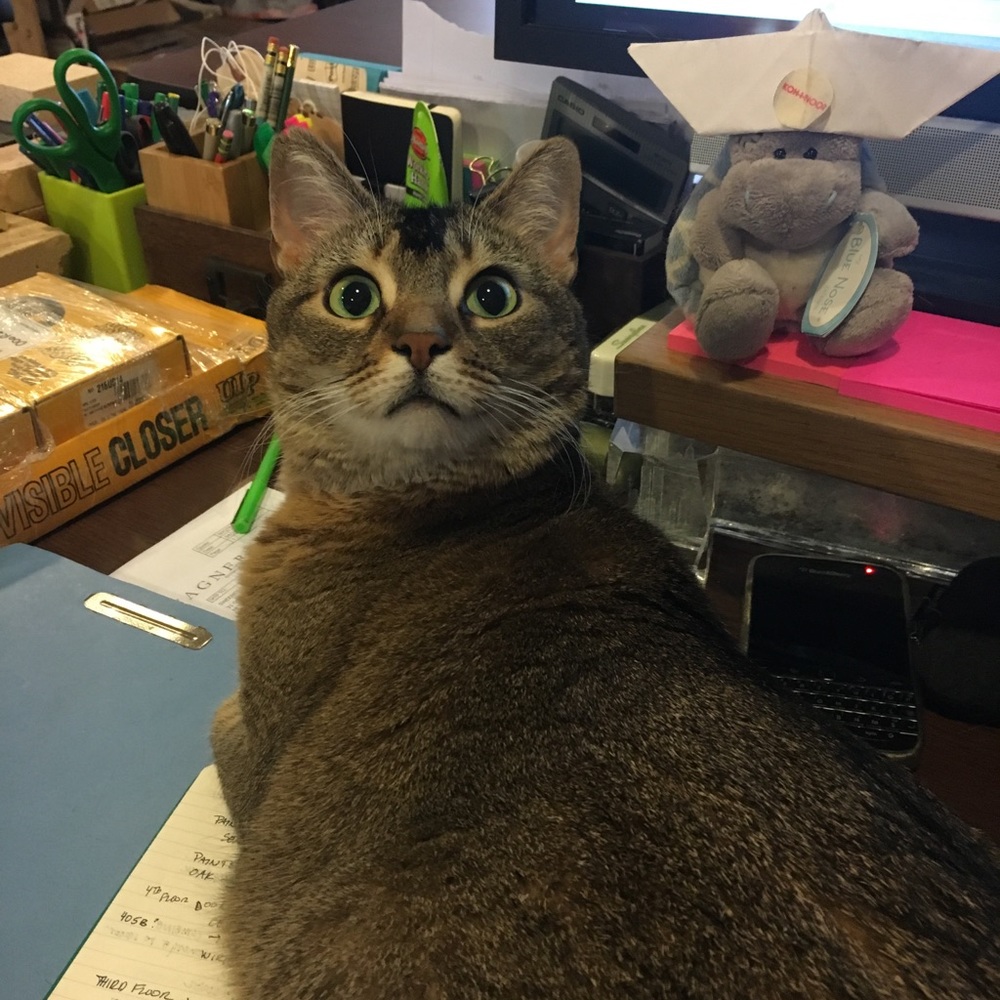 Meet your Posher, Maureen